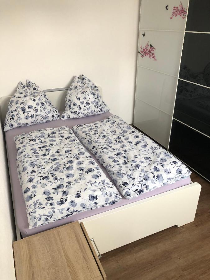 Ferienwohnung Janson Wiesenbach Dış mekan fotoğraf